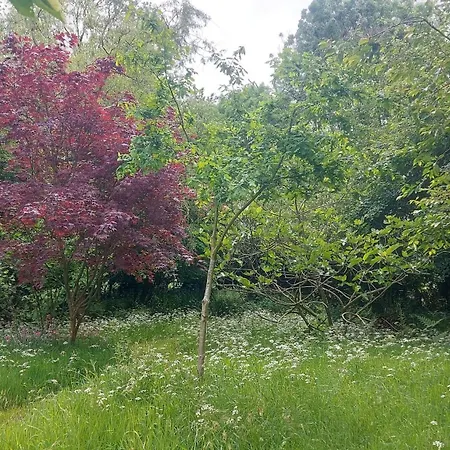 Zen En Nature * Montbray